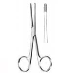 Koorntang Lister-Sinus